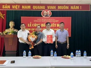 Sản phẩm z5056078421394_d1bb1d39c54690182443674d5bfdd1dc 300x225 — Công Ty Cổ Phần Quản Lý Và Khai Thác Tài Sản CFJ — MST 0106664025