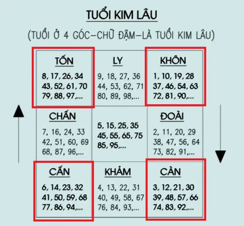Sản phẩm Tuoi pham Kim Lau 864x800 — Công Ty Cổ Phần Kiến Trúc Nhà Mới — MST 0106679092