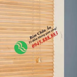 Sản phẩm RG002 1 300x300 — Công Ty Cổ Phần Nội Thất Kiến Vàng - Rèm Cửa Châu Âu — MST 0106681655