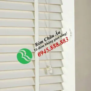 Sản phẩm RG003 1 300x300 — Công Ty Cổ Phần Nội Thất Kiến Vàng - Rèm Cửa Châu Âu — MST 0106681655