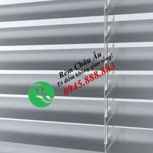 Sản phẩm RG04 1 300x300 — Công Ty Cổ Phần Nội Thất Kiến Vàng - Rèm Cửa Châu Âu — MST 0106681655