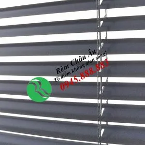 Sản phẩm RG05 1 300x300 — Công Ty Cổ Phần Nội Thất Kiến Vàng - Rèm Cửa Châu Âu — MST 0106681655