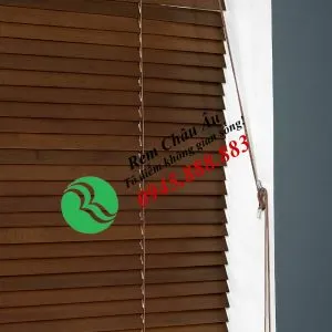 Sản phẩm RG23 1 300x300 — Công Ty Cổ Phần Nội Thất Kiến Vàng - Rèm Cửa Châu Âu — MST 0106681655