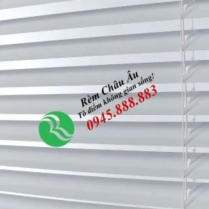 Sản phẩm RG24 1 300x300 — Công Ty Cổ Phần Nội Thất Kiến Vàng - Rèm Cửa Châu Âu — MST 0106681655