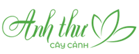 Logo Công Ty TNHH Cây Cảnh Anh Thư