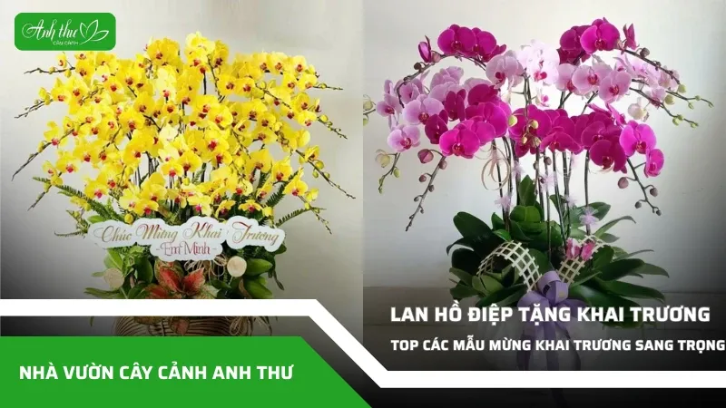 Sản phẩm anh dai dien ccat 302 — Công Ty TNHH Cây Cảnh Anh Thư — MST 0106682137