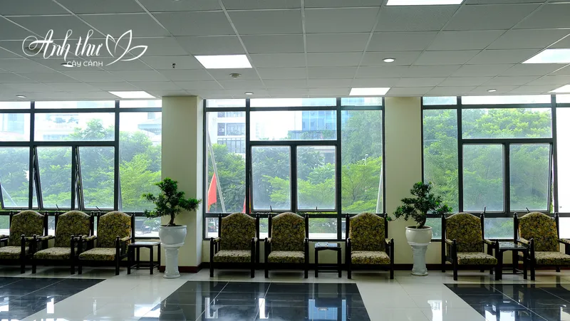 Sản phẩm DSF2732 — Công Ty TNHH Cây Cảnh Anh Thư — MST 0106682137