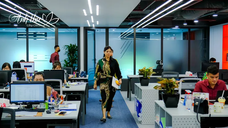 Sản phẩm DSF3104 — Công Ty TNHH Cây Cảnh Anh Thư — MST 0106682137