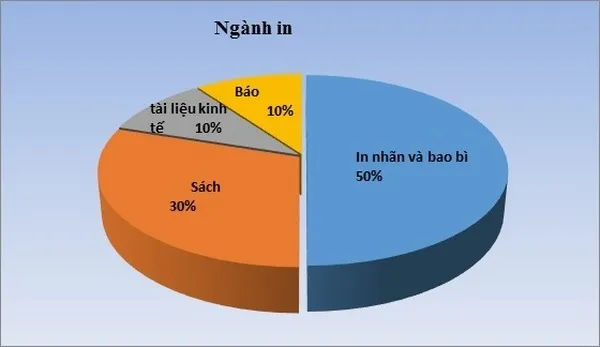 Sản phẩm nganh in an bao bi 2 — In Bắc Hà - Công Ty CP In Thương Mại Và Sản Xuất Bắc Hà — MST 0106684021