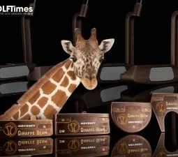 Sản phẩm Gay putt Odyssey Giraffe Beam 1 255x225 — Công Ty TNHH TimesGroup — MST 0106685265