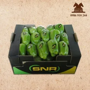 Sản phẩm thumb_CAR 24 — Công Ty TNHH In Bao Bì Song Mã — MST 0106688153