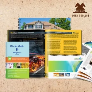 Sản phẩm thumb_CTL 03 — Công Ty TNHH In Bao Bì Song Mã — MST 0106688153