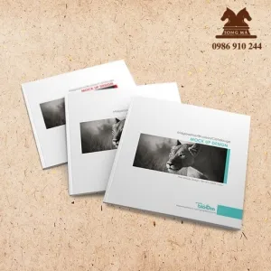 Sản phẩm thumb_CTL 19 — Công Ty TNHH In Bao Bì Song Mã — MST 0106688153