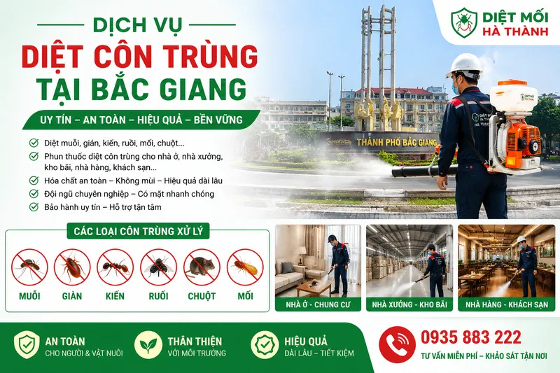 Sản phẩm ChatGPT Image 07_39_12 8 thg 6, 2026 — Diệt Mối Hà Thành - Công Ty Cổ Phần Dịch Vụ Và Xây Dựng THT Việt Nam — MST 0106695182
