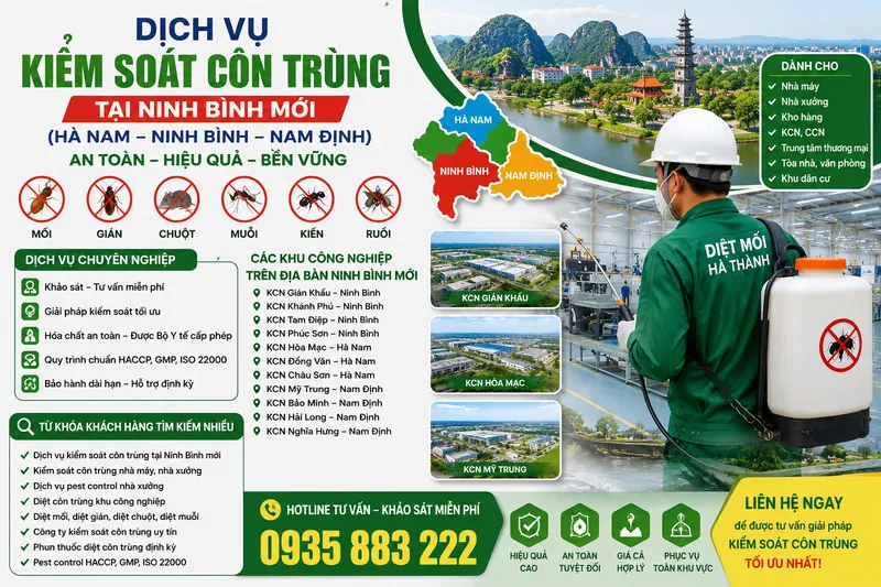 Sản phẩm ChatGPT Image 09_38_19 8 thg 6, 2026 — Diệt Mối Hà Thành - Công Ty Cổ Phần Dịch Vụ Và Xây Dựng THT Việt Nam — MST 0106695182