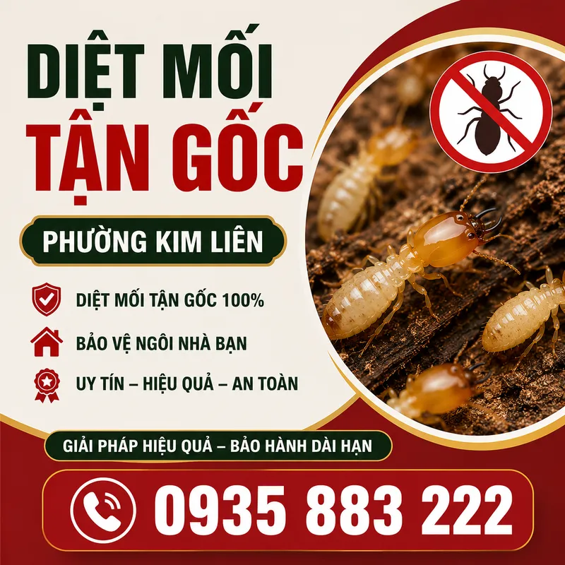 Sản phẩm ChatGPT Image 17_04_31 11 thg 6, 2026 — Diệt Mối Hà Thành - Công Ty Cổ Phần Dịch Vụ Và Xây Dựng THT Việt Nam — MST 0106695182