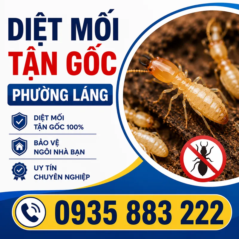 Sản phẩm ChatGPT Image 17_15_22 11 thg 6, 2026 — Diệt Mối Hà Thành - Công Ty Cổ Phần Dịch Vụ Và Xây Dựng THT Việt Nam — MST 0106695182