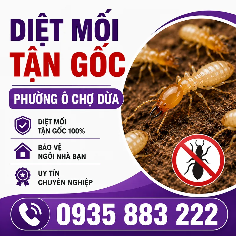 Sản phẩm ChatGPT Image 17_20_04 11 thg 6, 2026 — Diệt Mối Hà Thành - Công Ty Cổ Phần Dịch Vụ Và Xây Dựng THT Việt Nam — MST 0106695182