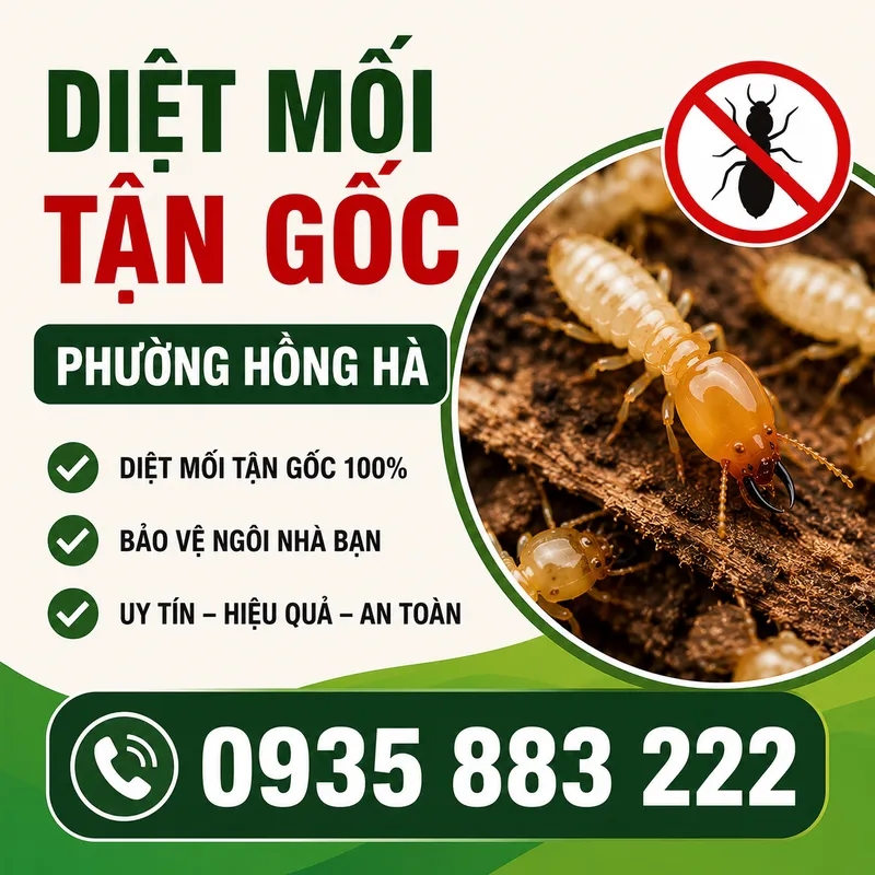 Sản phẩm ChatGPT Image 17_23_17 11 thg 6, 2026 — Diệt Mối Hà Thành - Công Ty Cổ Phần Dịch Vụ Và Xây Dựng THT Việt Nam — MST 0106695182