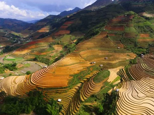 Sản phẩm Che Cu Nha mu cang chai 500x375 — Công Ty TNHH Kế Toán Và Tư Vấn KTC — MST 0106712430