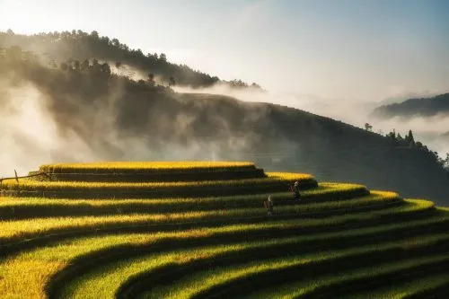 Sản phẩm Mu Cang Chai Yen Bai 500x333 — Công Ty TNHH Kế Toán Và Tư Vấn KTC — MST 0106712430
