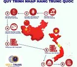 Sản phẩm quy trinh nhap khau chinh ngach 4f186873 — Dịch Vụ Hải Quan Vận Tải Vàng - Công Ty CP Giao Nhận Vận Tải Vàng — MST 0106720456