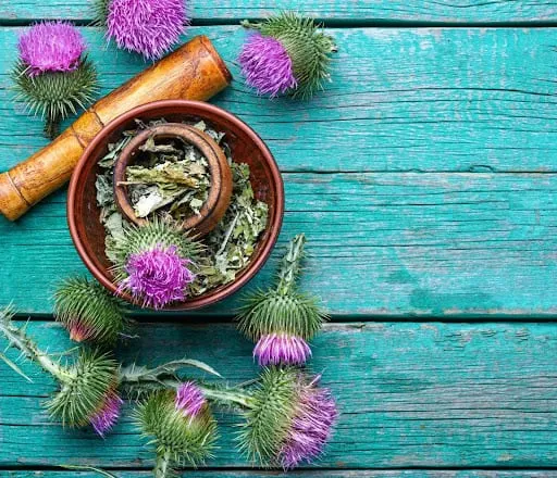 Sản phẩm Milk_Thistle — Cân Thăng Long - Công Ty TNHH Cân Điện Tử Thăng Long — MST 0106742883