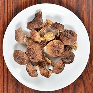 Sản phẩm agaricus blazei murrill mushroom thumb_be0839ca c866 4737 81fc 177fae8f08c3 — Cân Thăng Long - Công Ty TNHH Cân Điện Tử Thăng Long — MST 0106742883