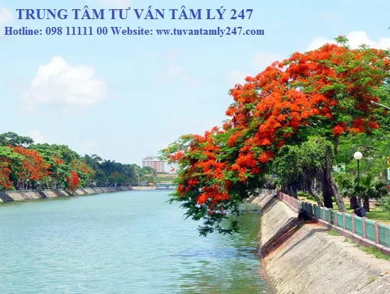 Sản phẩm image_new_e0383ce772bf393c89ef3f42d7c5bfd418 — Công Ty TNHH Nhân Hoa Việt - Trung Tâm Tư Vấn Tâm Lý 247 — MST 0106750852