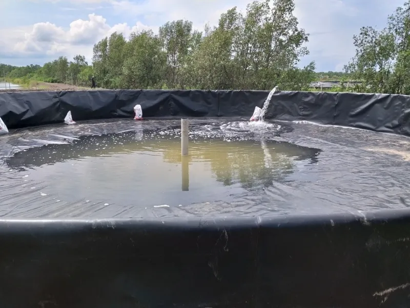 Sản phẩm mang chong tham hdpe 0 5mm — Công Ty TNHH Đầu Tư Xây Lắp Phú Sơn — MST 0106756621