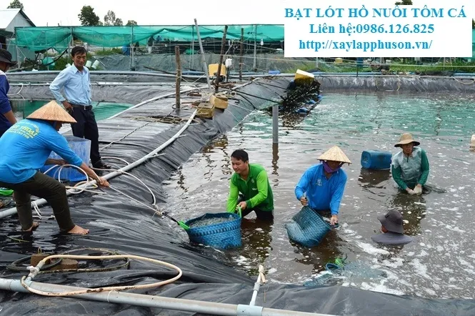 Sản phẩm bat lot ho nuoi tom ca — Công Ty TNHH Đầu Tư Xây Lắp Phú Sơn — MST 0106756621
