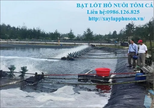 Sản phẩm bat lot ho tom — Công Ty TNHH Đầu Tư Xây Lắp Phú Sơn — MST 0106756621