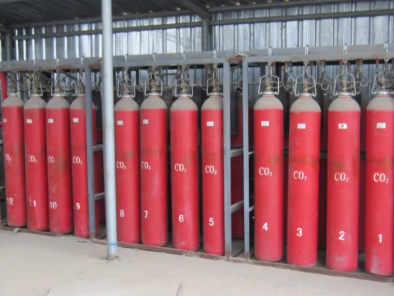 Sản phẩm khi co2 thuc pham 1 — Công Ty TNHH Kỹ Thuật Cơ Điện Và Môi Trường Nhật Nam — MST 0106787549