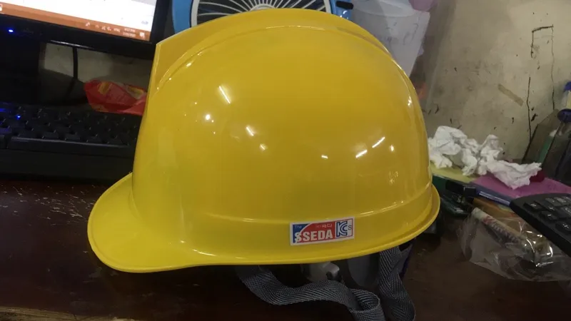 Sản phẩm 221 — Công Ty TNHH Đức Linh Nhi — MST 0106795187