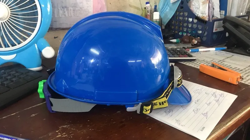 Sản phẩm 244 — Công Ty TNHH Đức Linh Nhi — MST 0106795187