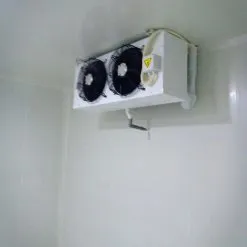 Sản phẩm 70528911_1736806033129400_1759145645832142848_n 1 247x247 — Công Ty Cổ Phần Cơ Điện Lạnh Biển Bạc — MST 0106802243