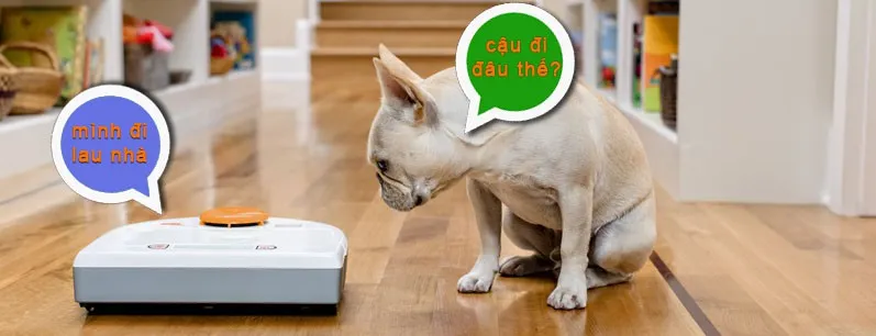 Sản phẩm 1350091neato_botvac_85_thegioithongminh — Công Ty TNHH Thương Mại Và Dịch Vụ Thế Giới Thông Minh — MST 0106808887