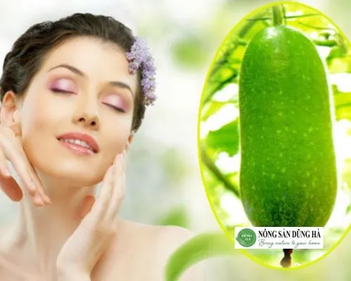Sản phẩm bi xanh giup lam dep da — Thực Phẩm Dũng Hà - Công Ty TNHH Nông Sản Dũng Hà — MST 0106809337