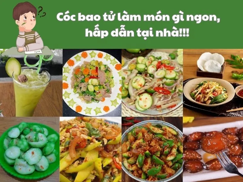 Sản phẩm Coc bao tu lam mon gi ngon — Thực Phẩm Dũng Hà - Công Ty TNHH Nông Sản Dũng Hà — MST 0106809337