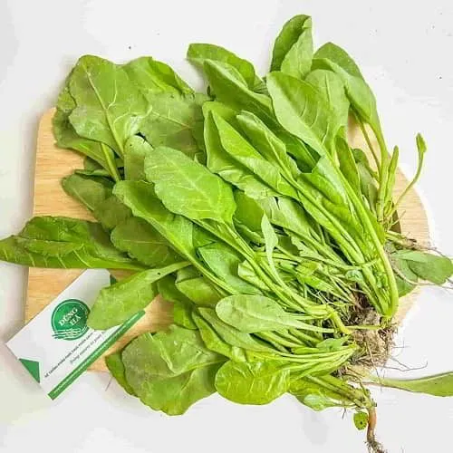 Sản phẩm cai bo xoi 1 — Thực Phẩm Dũng Hà - Công Ty TNHH Nông Sản Dũng Hà — MST 0106809337