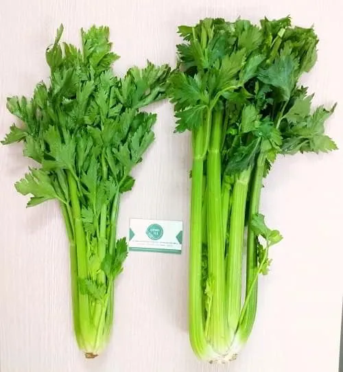 Sản phẩm can tay 1 — Thực Phẩm Dũng Hà - Công Ty TNHH Nông Sản Dũng Hà — MST 0106809337
