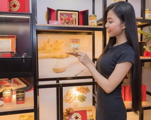 Sản phẩm nhan sam canada hang cao cap — Thực Phẩm Dũng Hà - Công Ty TNHH Nông Sản Dũng Hà — MST 0106809337
