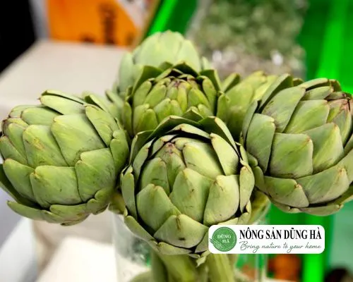 Sản phẩm bong atiso tuoi dung ha — Thực Phẩm Dũng Hà - Công Ty TNHH Nông Sản Dũng Hà — MST 0106809337