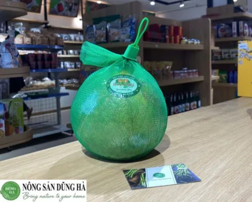 Sản phẩm buoi da xanh nong san dung ha cuc tot — Thực Phẩm Dũng Hà - Công Ty TNHH Nông Sản Dũng Hà — MST 0106809337
