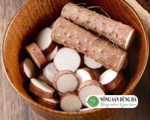Sản phẩm dac diem cu mai — Thực Phẩm Dũng Hà - Công Ty TNHH Nông Sản Dũng Hà — MST 0106809337