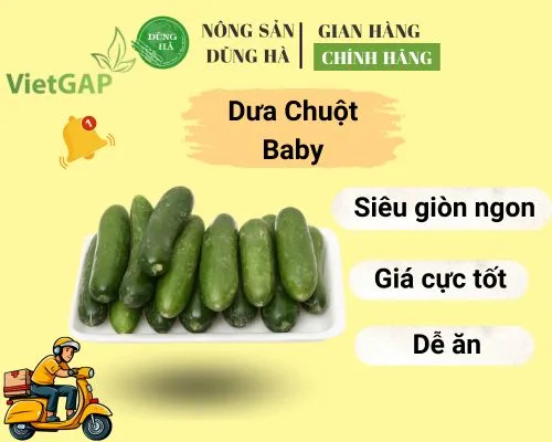 Sản phẩm dua chuot baby nong san dung ha chat luong — Thực Phẩm Dũng Hà - Công Ty TNHH Nông Sản Dũng Hà — MST 0106809337