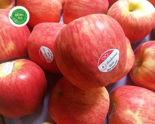Sản phẩm gioi thieu tao ambrosia — Thực Phẩm Dũng Hà - Công Ty TNHH Nông Sản Dũng Hà — MST 0106809337