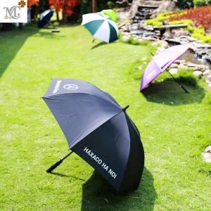Sản phẩm CT C1 300x300 — Công Ty TNHH Sản Xuất Và Thương Mại Tổng Hợp Minh Châu — MST 0106809344