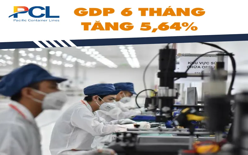 Sản phẩm thumb_1625397094_GDP 6.2021 — PCL - Công Ty Cổ Phần Vận Tải Biển Container Thái Bình Dương — MST 0106812107