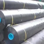 Sản phẩm khomangchongthamHDPE 150x150 — Công Ty Cổ Phần Cơ Khí Xây Dựng Dịch Vụ Và Thương Mại Tân Hoàng Minh — MST 0106830836